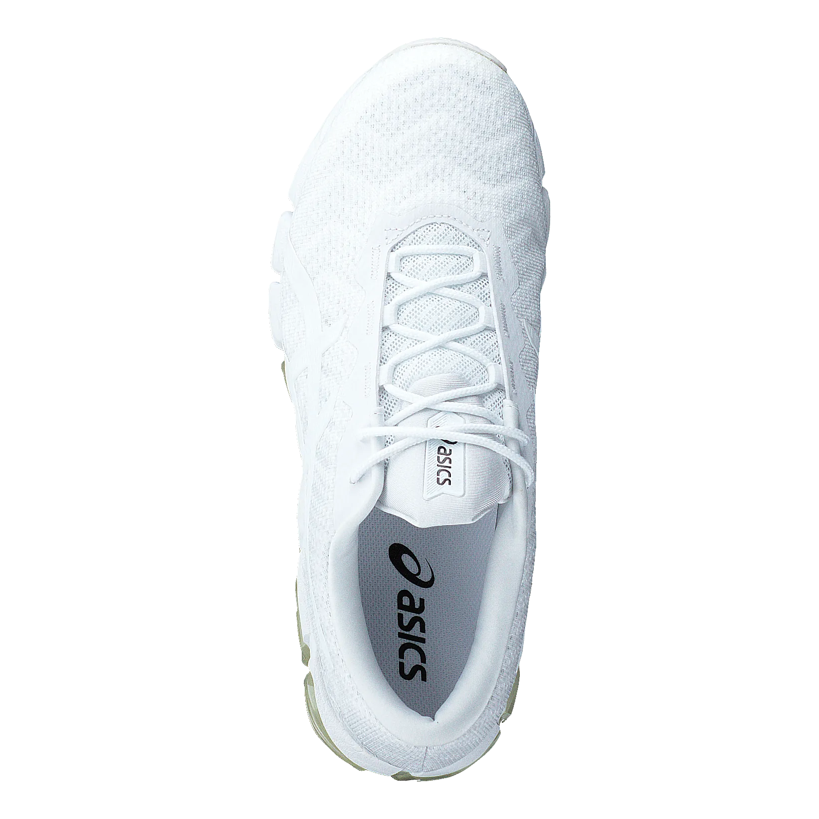 Gel-quantum 180 5 White/white